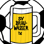 LSV Brauwasser